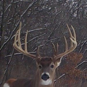 Meet your Posher, Kyle